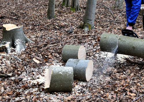 Tree Fellers