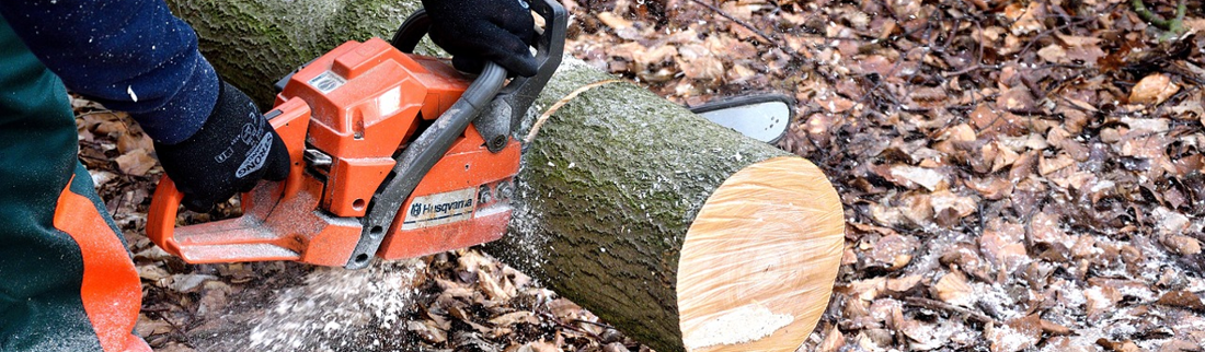 tree fellers